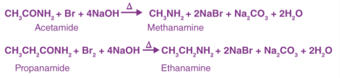 Hoffmann溴酰胺反應機理（定義，實例，步驟）