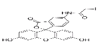   - 范德生物 BIOFOUNT